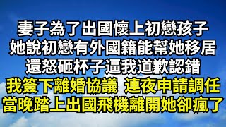 妻子為了出國懷上初戀孩子，她說初戀有外國籍可讓她移居國外，還怒砸杯子逼我道歉認錯，我簽下離婚協議 連夜申請調任，當晚踏上出國飛機離開她卻瘋了【清風與你】#激情故事#大彬情感#夢雅故事#一口氣看完#小說