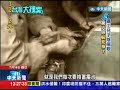 2013.07.14台灣大搜索／靠第六感躲過死神！　礦工兒子「陰陽眼」救人