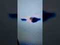 Alien in ufo    14.03.2024