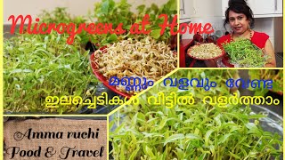 Microgreens|| മണ്ണും വളവും ഇല്ലാതെ വെറും ടിഷ്യു പേപ്പറും വെള്ളവും ഉപയോഗിച്ച് ഇലച്ചെടികൾ വളർത്താം