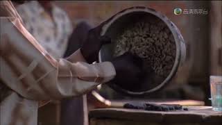 Mosquito burger in Africa