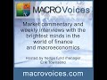 macrovoices 401 leigh goehring the role of monetary policy in commodity investing​