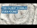 Scientists just discovered the oldest fossils ever found