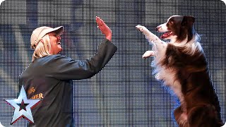 Catch Jules and Matisse the dog in action | Britain's Got Talent 2015