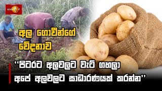 ''පිටරට අලවලට වැට් ගහලා අපේ අලවලට සාධාරණයක් කරන්න'' #Welimada