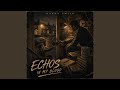 Echoes In My Blood (Radio Edit)