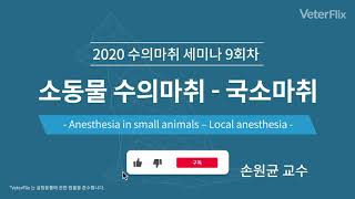 [베터플릭스]소동물 수의마취 – 국소마취(Anesthesia in small animals – Local anesthesia)_강의