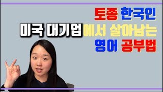 토종 한국인, 미국 대기업에서 살아남는 영어 공부법