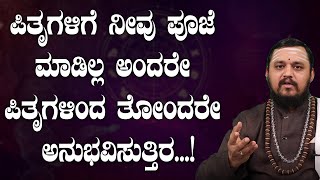 ಪಿತೃಗಳಿಗೆ ನೀವು ಪೂಜೆ ಮಾಡಿಲ್ಲ ಅಂದರೇ ಪಿತೃ ದೋಷ ಬರುತ್ತ ? ಪಿತೃ ಪಕ್ಷದಲ್ಲಿ ಈ 3 ವಸ್ತುಗಳನ್ನು ದಾನ ಮಾಡಬೇಕು