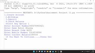 Bank Management System Project in Python With Source Code | Windows 11