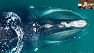 University Programs Seminar: "We Are Whalers" Reading and Discussion