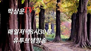 박상운TV라이브2024년 11월 22일 #종이학 #애심 #전영록