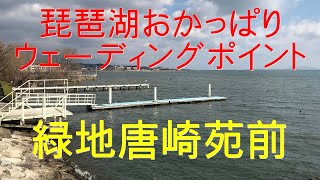 琵琶湖ウェーディングポイント湖岸緑地唐崎苑前