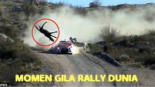 MOMEN GILA || PEMBALAP RALLY WRC DUNIA || SAMPE NABRAK SAPI ||