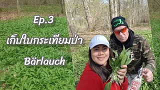 Ep.3 เก็บใบกระเทียมป่า Bärlauch | มาดามเยอรมัน | โมน่า พาเพลิน