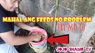 MURANG FEEDS PARA SA MANOK