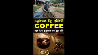 ලෝකෙ මිල අධිකම කෝපි - Blackivory | World Most Expensive #Coffee #short #expensive #how_to  #sinhala