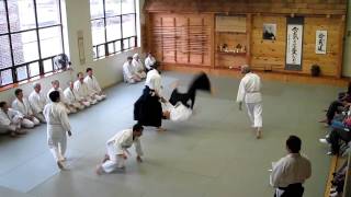 Randori Demonstration