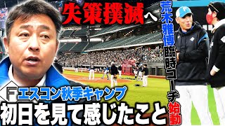 【地獄の秋季キャンプ開始】荒木雅博臨時コーチの指導で内野守備の改善なるか！日ハムのエスコン秋季キャンプ初日を見て感じたこと【プロ野球】