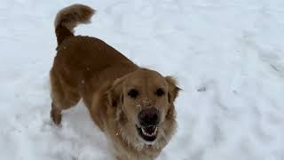 Snow in Mammoth? Finally after a lack luster season we are seeing some snow. #snow #country