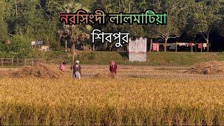 নরসিংদী লালমাটিয়ার, বংপুর গ্রাম। শিবপুর থানা | Narshindi, Lalmatiya, Bangpur gram |