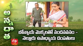 బోన్సాయ్‌ మొక్కలతో నందనవనం నెల్లూరు ఉపాధ్యాయ దంపతులు | ETV Telugu