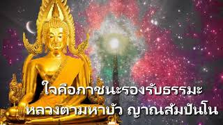 นั่งดูลมหายใจ เห็นใจ เห็นบุญ หลวงปู่สิม พุทธาจาโร - จิตใจที่บริสุทธิ์