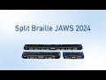 Split Braille in JAWS 2024: Speech History View