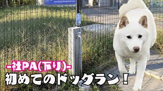 【兵庫県加東市：社PA】たま美初めてのドッグラン