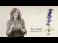 anise hyssop – herb garden course with rachel petheram – learningwithexperts com – freebie 1 of 7