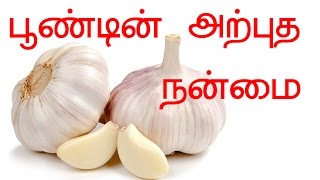 பூண்டின் அற்புத நன்மை- Amazing Garlic