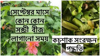 সেপ্টেম্বর মাসে  কোন কোন সব্জী  বীজ  লাগানো সময়/কিভাবে  কচুশাক সংরক্ষন করলে  পুষ্টি মান বজায় থাকবে