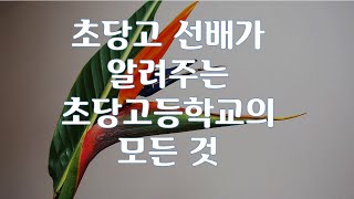 초당고 선배가 알려주는 초당고의 모든것