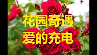 梦蝶冥想引导 – 玫瑰花园 (Guided Meditation in Chinese – Rose Garden)