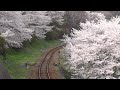 わたらせ渓谷鐵道 723d 桜 大間々～上神梅 2012.04.15