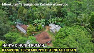 Senyaman ini ‼️ Kehidupan di TENGAH HUTAN pelosok WONOSOBO, suasana pedesaan yang sangat dirindukan