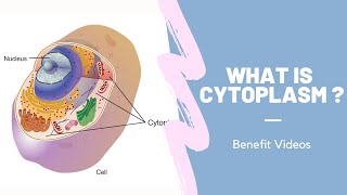 What Is Cytoplasm?