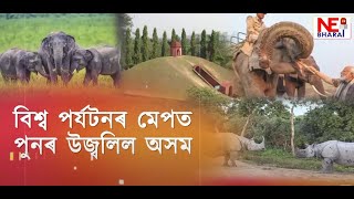 🔸বিশ্ব পৰ্যটনৰ মেপত পুনৰ উজ্বলিল অসম