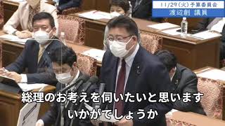 2022年11月29日　衆議院　予算委員会　渡辺創議員３「補正予算の組み替え動議、出産費用の無償化、養育費立替払い制度導入、児童手当の特例給付の復活、学校給食の無償化、奨学金の返済減免と制度拡充など」