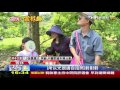 【tvbs】古坑荷苞山油桐花期早　今盛開變「4月雪」