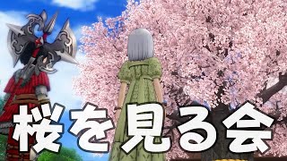 ドラクエ10 Ver 5.4 2話「桜を見る会」2アカ攻略 DQ10