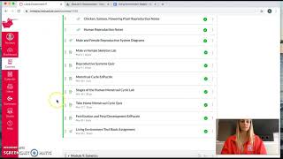 Week 2 - Digital Learning Plan LE