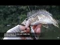 20220805 청양 지천 쏘가리 낚시 feat. 냉장고 포인트 루어낚시 fishing in korea