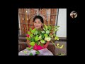 செல்வம் பெருக்கும் மணி பிளான்ட் money plant varieties pothos best indoor plants gardening tips