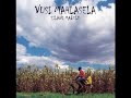 Weeping by the Soweto String Quartet ft  Vusi Mahlasela