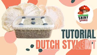 Beginner Dutch Kit Tutorial w/ShinySpores