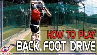 How to Back Foot DRIVE | Cricket Batting Tutorials | Cricket Coaching