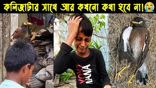 (কথা বলা) দুর্ভাগা শালিক ছানার জীবন কাহিনী |Bird story-113|The life story of Indian common Myna Bird