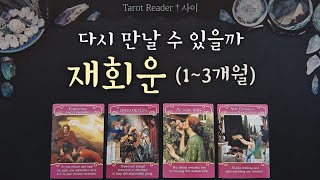 [타로:연애] 재회운 (1~3개월)