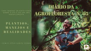 DIÁRIO DA AGROFLORESTA 05 - AGROFLORESTANDO COM SÍTIO SANTA TERRA